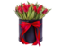 Red Passion