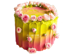 Роза Роуз