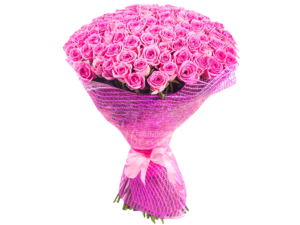 Пинк Лав